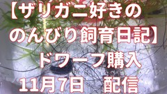 ドワーフザリガニ購入 いわき市の美容室 美容院ならアンジェリク